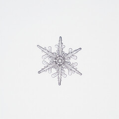 Fototapeta premium detailed macro snowflake crystal on white background