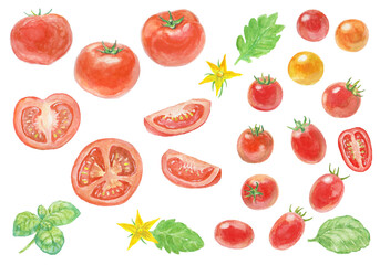水彩絵の具で描いたトマト
