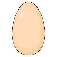 vector illustration of egg