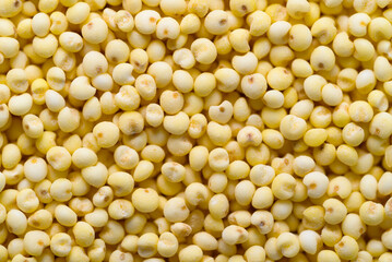 Yellow millet grain texture background, Food ingredient