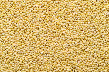 Yellow millet grain texture background, Food ingredient