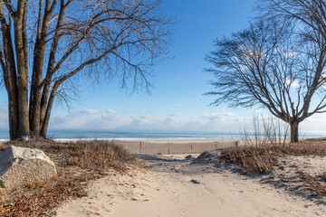 Sandy beach and trees on lakeshore in winter