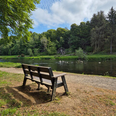 wooden bench and river