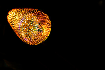 Multicolor vintage 3D fireworks decorative Edison light bulb in the dark. Decorative filament LED globe lamp