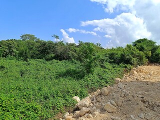 Environmental impact of land development near tropical forest in rural Guatemala