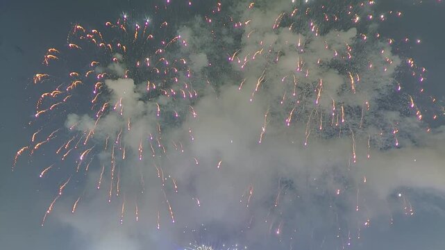 夏の夜空を彩る花火