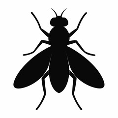 Simple Black Silhouette of a Fly on a White Background