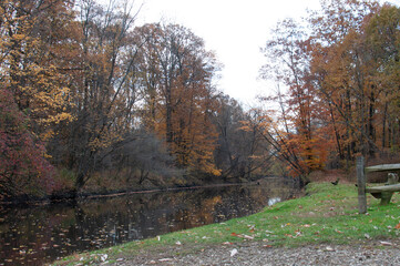 Cold day walk in the park
