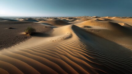 Panoramic desert dunes glow during golden hour with dramatic natural lighting. AI generated.