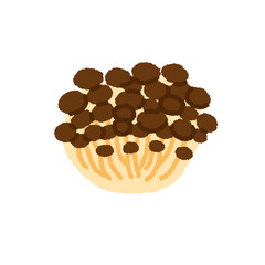 しめじのかわいい手描きイラスト素材