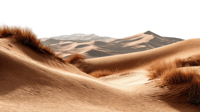 Serene sand dunes landscape desert nature warm environment wide angle tranquility cut out png