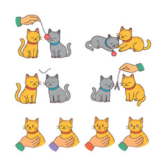Cute Cat Playing