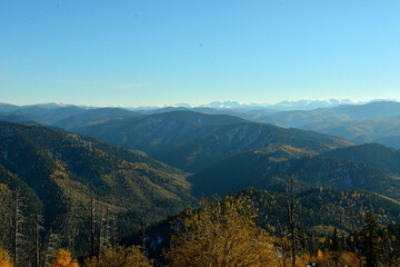 View from the top of the mountain ranges covered with dense coniferous forest and snow-capped mountains in the distance on a sunny autumn evening.