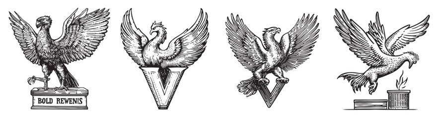 Fototapeta premium Detailed vintage illustrations of majestic birds such as eagles and phoenixes, showcasing intricate designs and heraldic elements that symbolize power and grace., set vector illustration