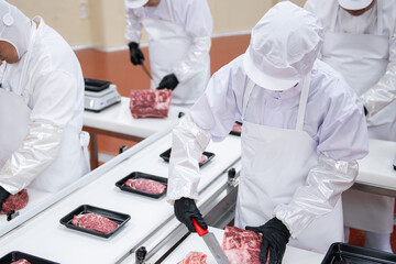 Meat factory workers in white coats and gloves preparing meat for processing.