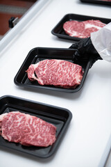 Steaks on a conveyor belt being packaged in a food processing plant