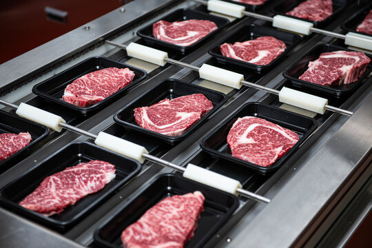 Steaks on a conveyor belt being packaged in a food processing plant