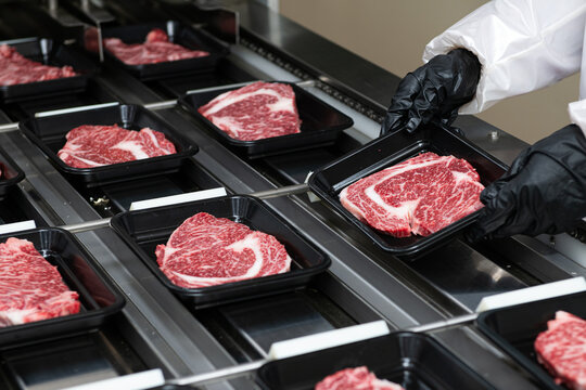 Steaks on a conveyor belt being packaged in a food processing plant