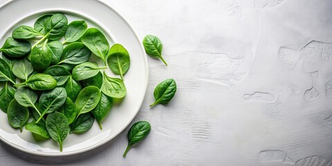 Obraz premium Fresh spinach leaves arranged in a neat pile on a white plate