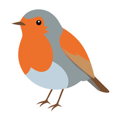 Charming European Robin Bird Illustration Vector Graphic 1 (81).eps