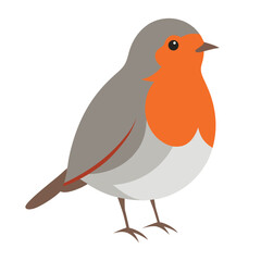 Charming European Robin Bird Illustration  80.eps Vector Graphic