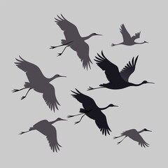 Elegant Silhouette of Cranes in Flight A Vector Illustration