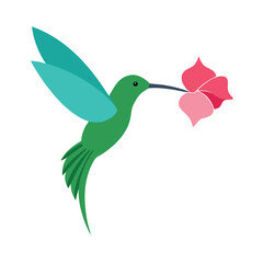 Hummingbird in Flight A Vibrant Vector Illustration of Nature's Beauty