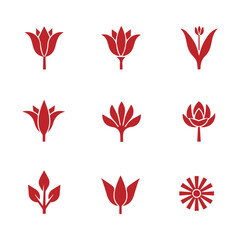 Fototapeta premium vector set of red and white flowers design 