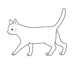 Walking cat simple line drawing illustration