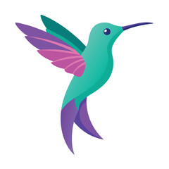Vibrant Hummingbird Illustration Nature's Tiny Jewel