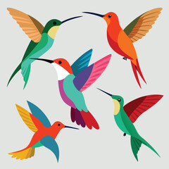Vibrant Hummingbird Illustrations A Collection of Colorful Bird Designs (1 (285).eps)