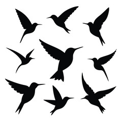 Hummingbird Silhouettes A Collection of Elegant Bird Designs
