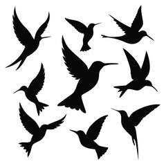 Hummingbird Silhouettes A Collection of Elegant Bird Designs (1 (287).eps)