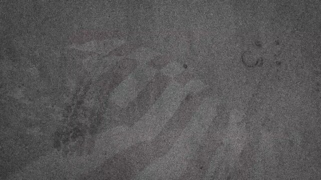 Undercurrent causing camera drifting over seabed ripples revealing sponge and circular depressions