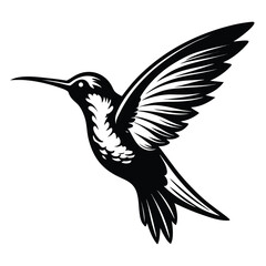 Hummingbird in Flight Elegant Black and White Illustration