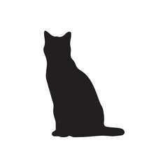 black cat on white background