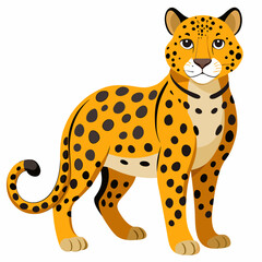 Leopard on white background



