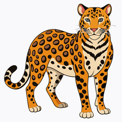 Leopard on white background



