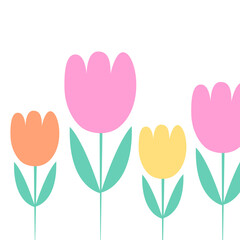 Colorful tulip flower background image