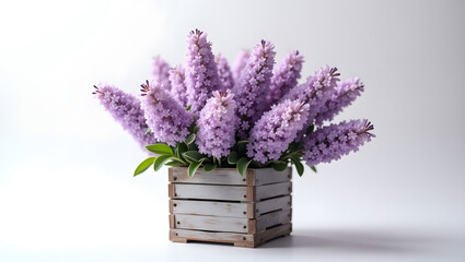 Fototapeta premium Vibrant Lilac Bloom: Purple Flowers in Rustic Wooden Crate