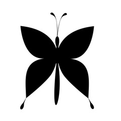 Butterfly Icon Vector Illustration Butterfly Symbol.