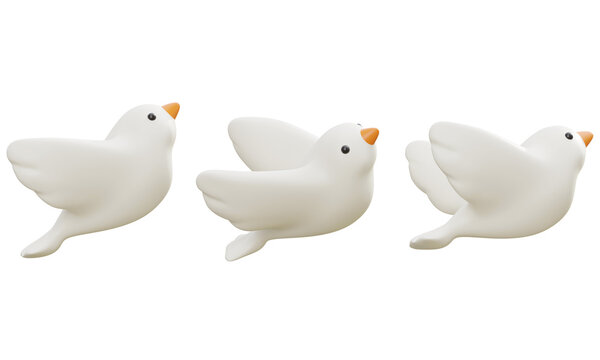Cartoon Style Pigeon Bird 3D Graphic