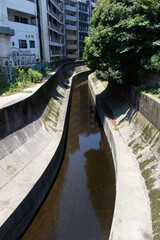 Vibrant Japanese cityscape.