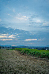Late afternoon view of countryside, with mown and un-mown grass forming a leading line to distant mountain range. Veresdale Scrub, Scenic Rim, Queensland, Australia 