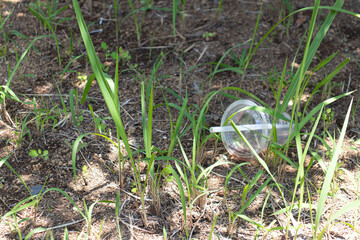 environmental issues