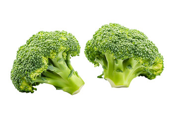 Two fresh broccoli florets isolated against a black background providing a clean look