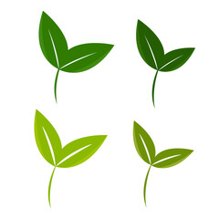 Vector illustration of nature symbol icon. Beautiful growing tree.