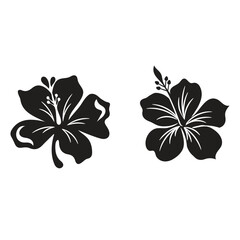Vector drawing BLACK  hibiscus flower isolated WHITE background, hand drawn illustration