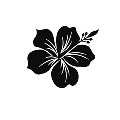 Vector drawing BLACK  hibiscus flower isolated WHITE background, hand drawn illustration