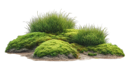 Cluster of lush, varied greenery on a light brown base